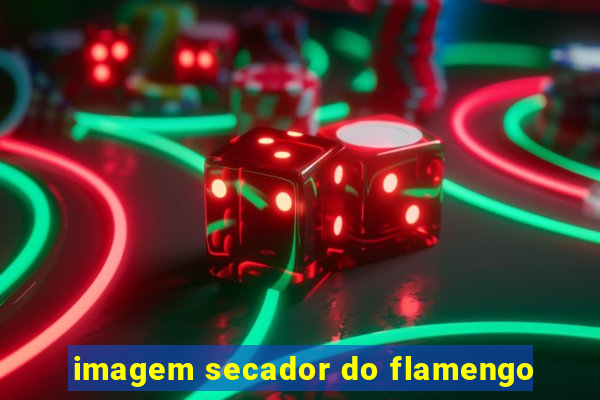 imagem secador do flamengo